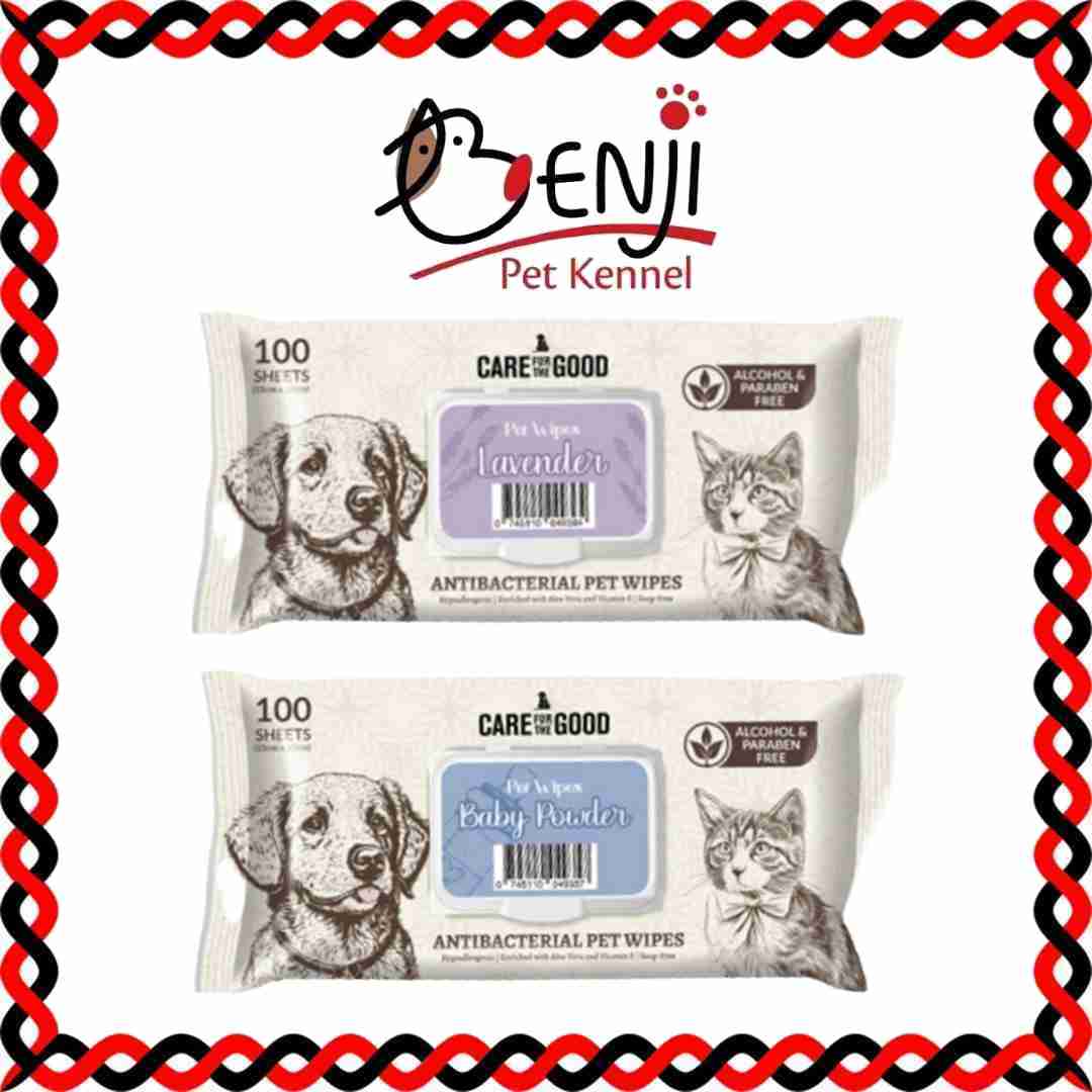 Best Pet Groomer